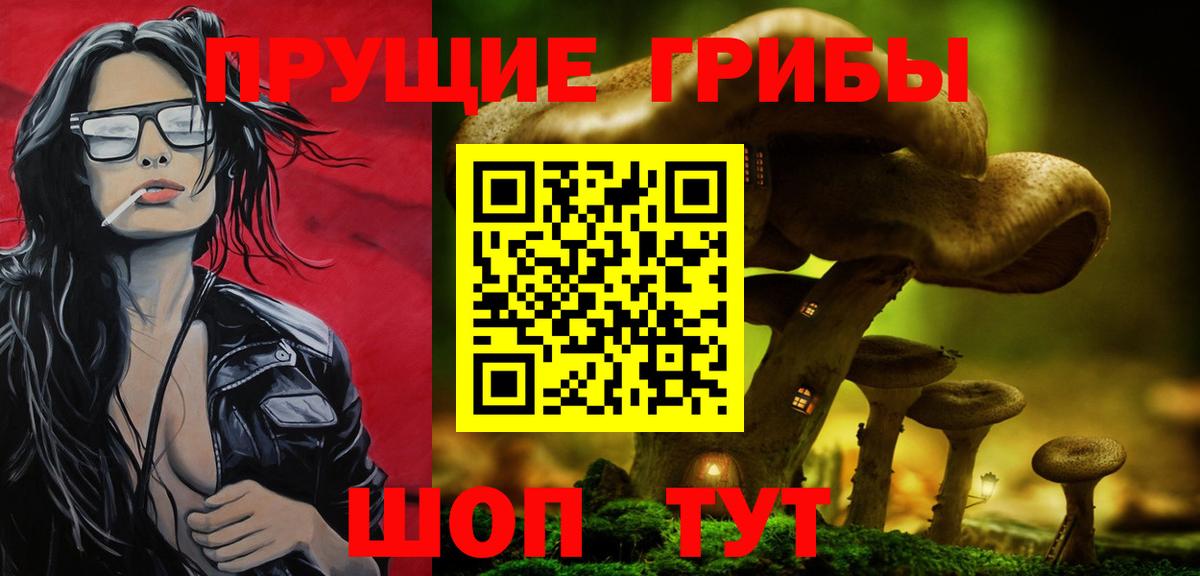 Галлюциногенные грибы ЛСД  Псилоцибиновые грибы ЛСД  Вход с VPN  Сертолово 