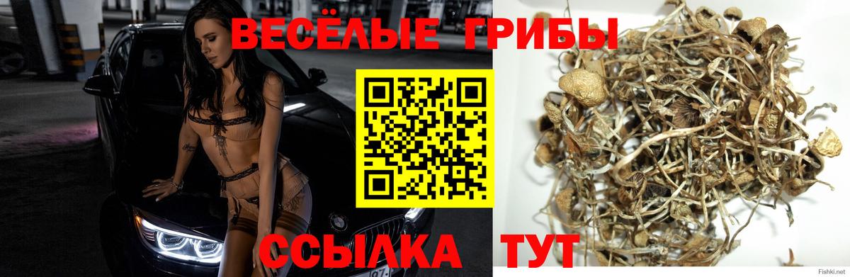 Галлюциногенные грибы мицелий Сертолово